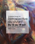 peintures de Celine Pasteur